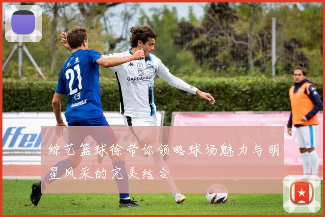 综艺篮球徐带你领略球场魅力与明星风采的完美结合