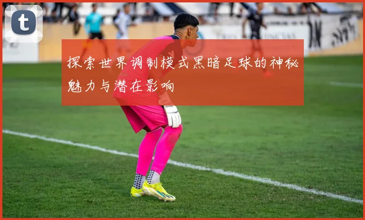 探索世界调制模式黑暗足球的神秘魅力与潜在影响