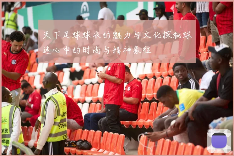 天下足球球衣的魅力与文化探秘球迷心中的时尚与精神象征
