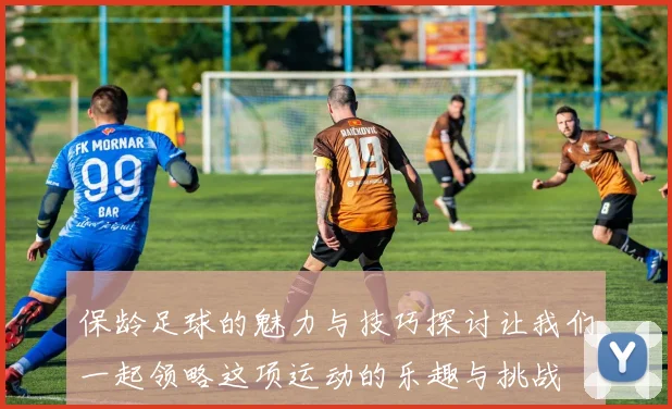 保龄足球的魅力与技巧探讨让我们一起领略这项运动的乐趣与挑战