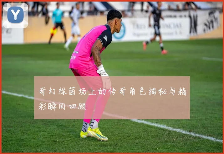 奇幻绿茵场上的传奇角色揭秘与精彩瞬间回顾
