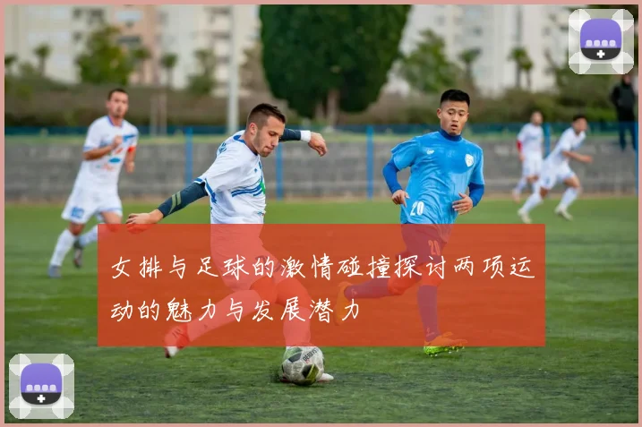 女排与足球的激情碰撞探讨两项运动的魅力与发展潜力