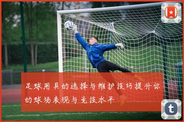 足球用具的选择与维护技巧提升你的球场表现与竞技水平