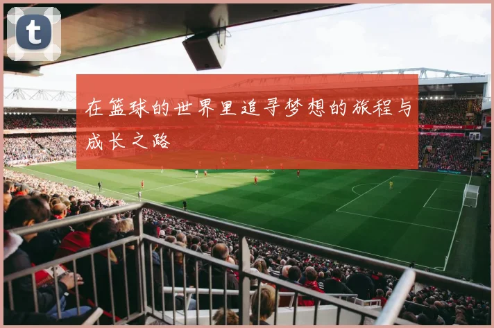 在篮球的世界里追寻梦想的旅程与成长之路