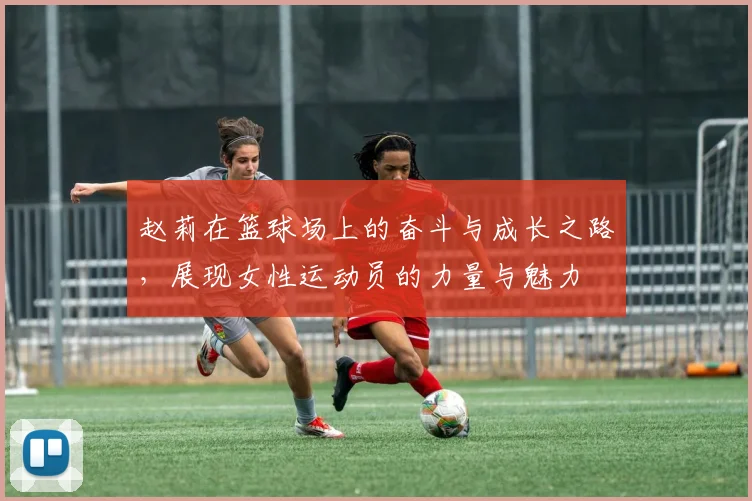 赵莉在篮球场上的奋斗与成长之路，展现女性运动员的力量与魅力